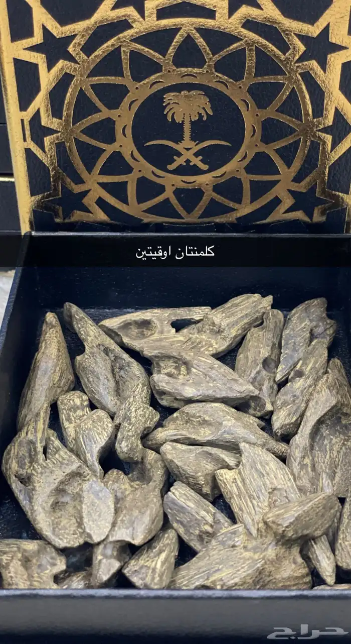 عود مروكي وكلمنتان محسن فاخر 5