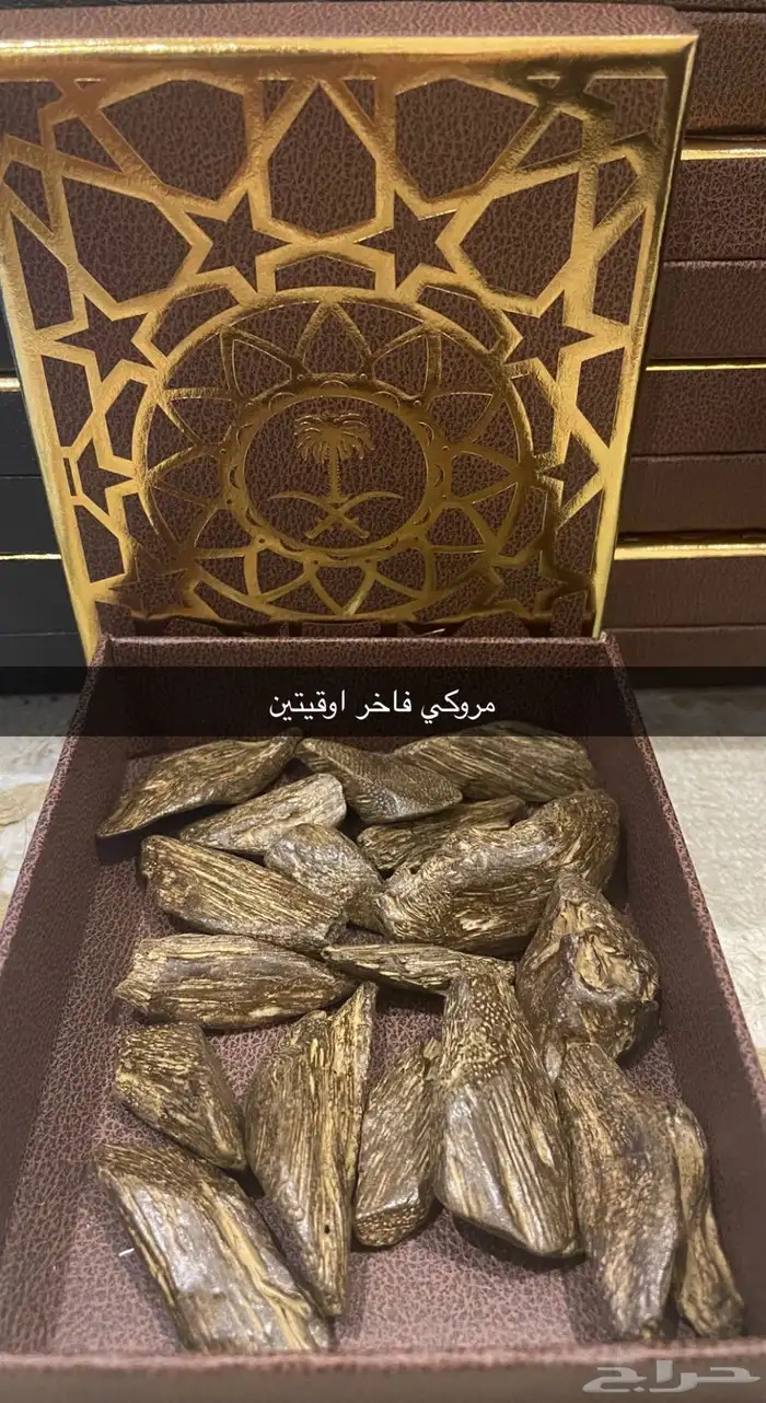 عود مروكي وكلمنتان محسن فاخر 6