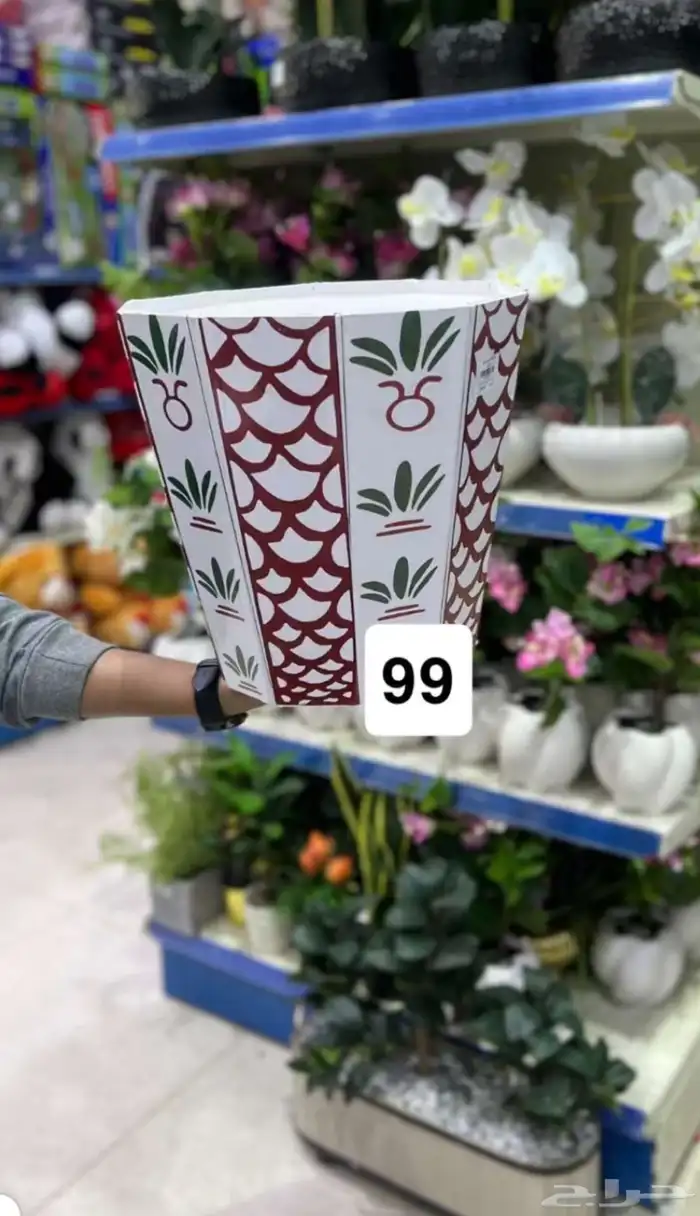 صحون الفنجال 8