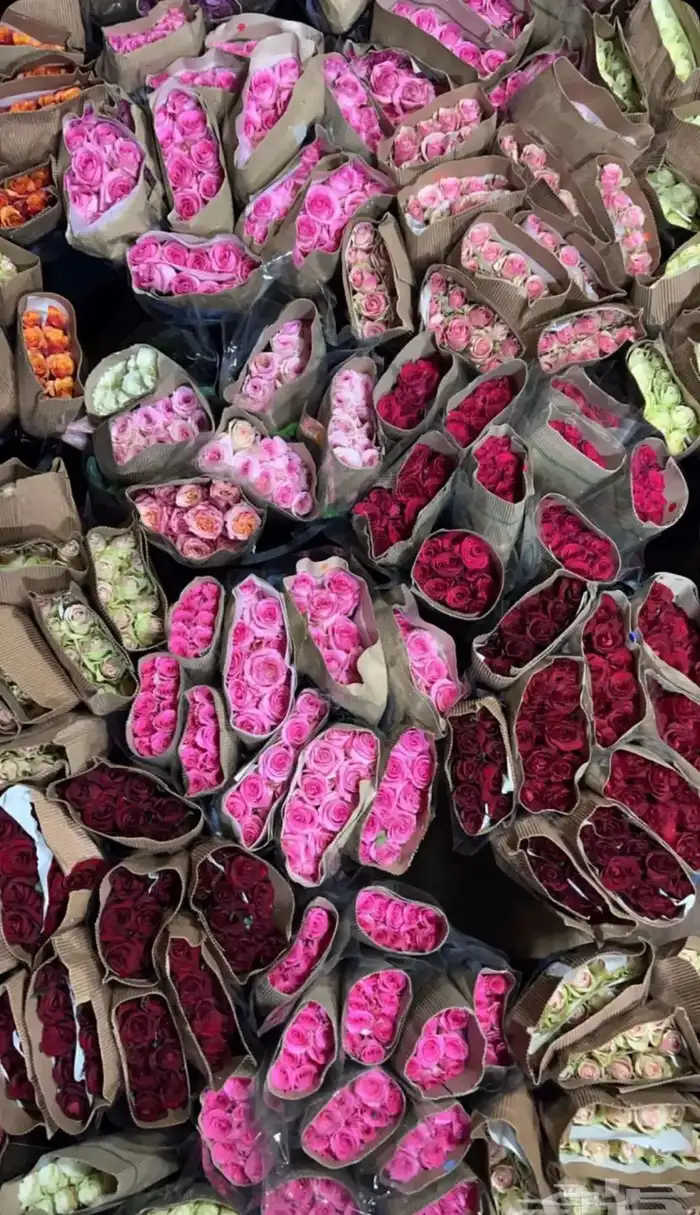 ورد جمله 0