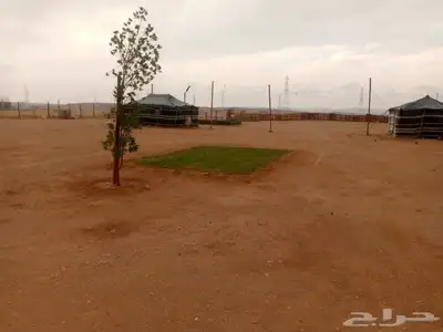 عرعر طريق سكاكا 6