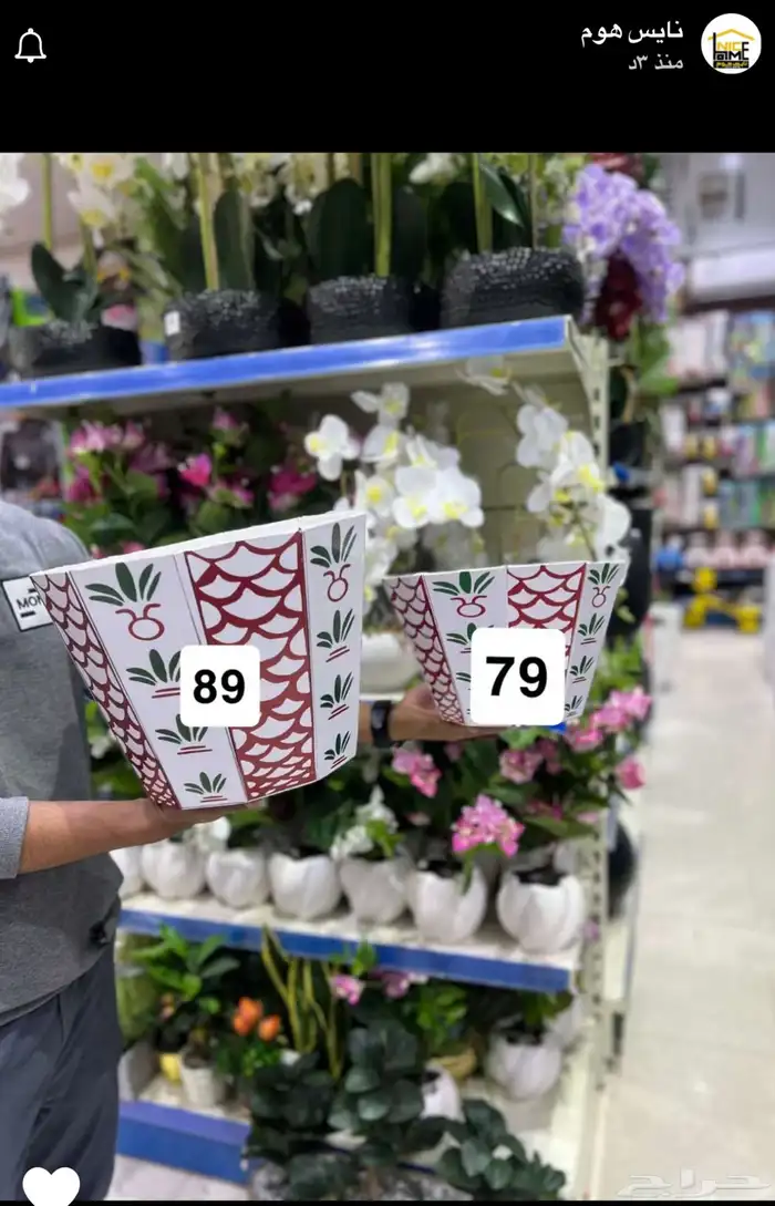 صحون الفنجال 9