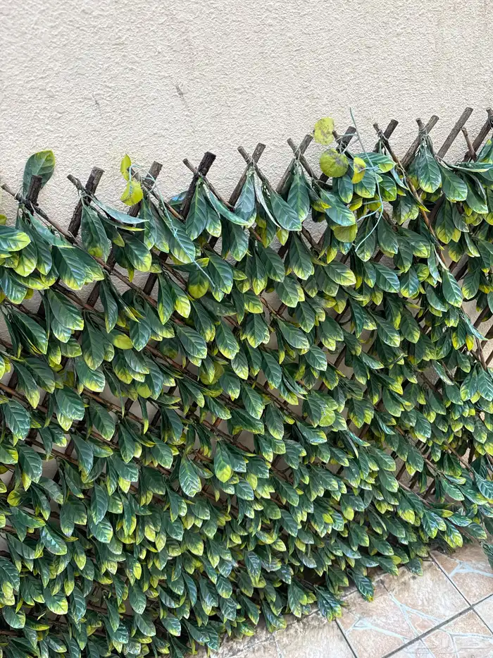 سياج حديقة 1