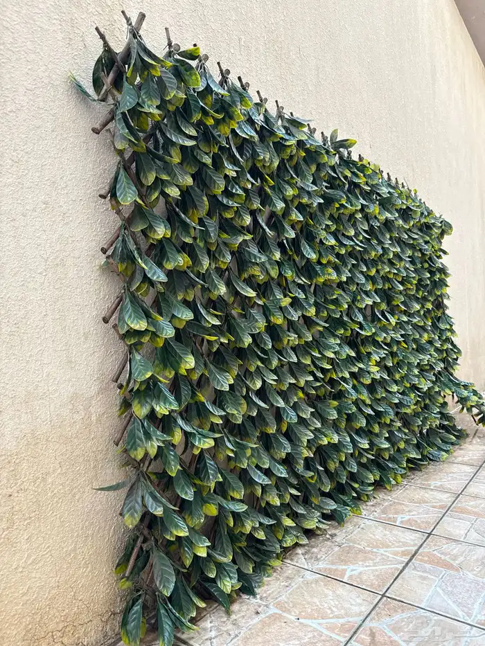 سياج حديقة 2