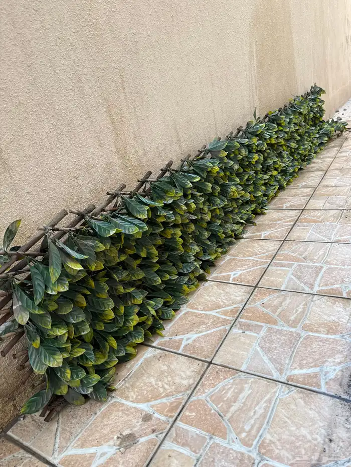 سياج حديقة 0