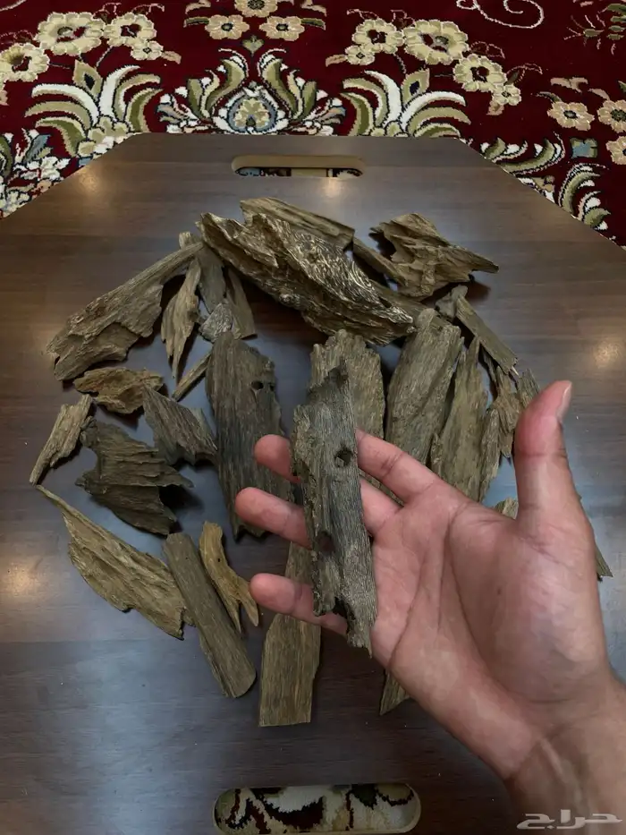 مالينو دبل سوبر سوبر مرتفع 9