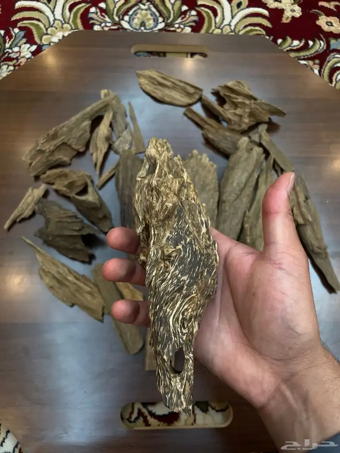 مالينو دبل سوبر سوبر مرتفع 7