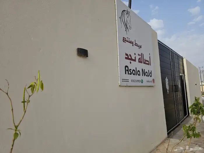 استراحة ومربط للإيجار اليومي 13