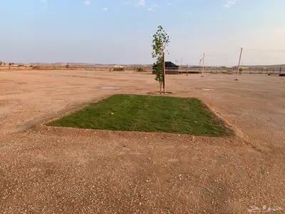 عرعر طريق سكاكا 7