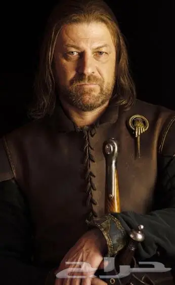 بروش game of thrones hand of the king 0