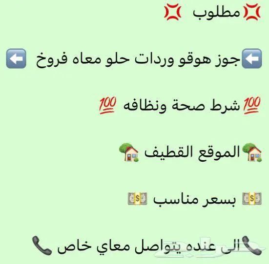 القطيف 0