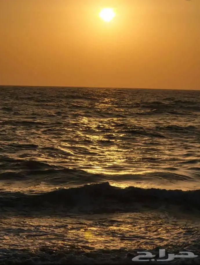 قصائد وابيات شعر للبيع بسعر خاص جدا 0