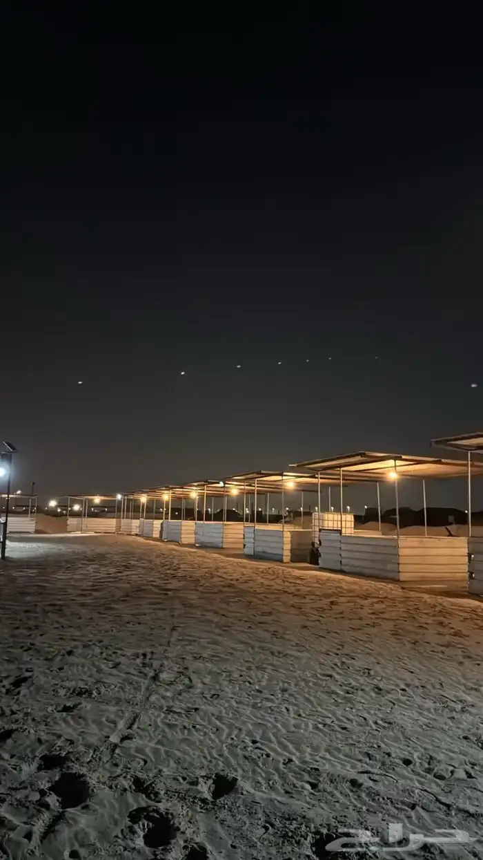 مربط الناهي للخيل العربية الاصيلة 3