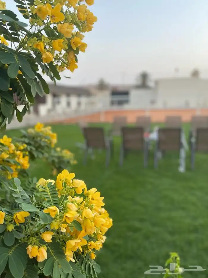 استراحة ومربط للإيجار اليومي 8