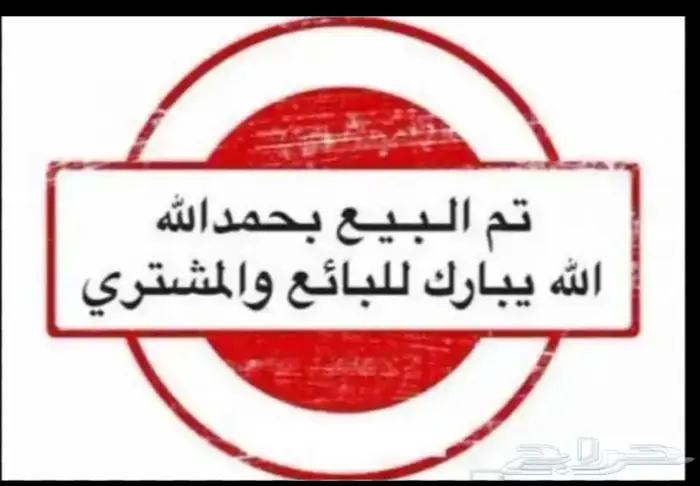 خرفان طيبه للبيع ...تم البيع .تم البيع 0