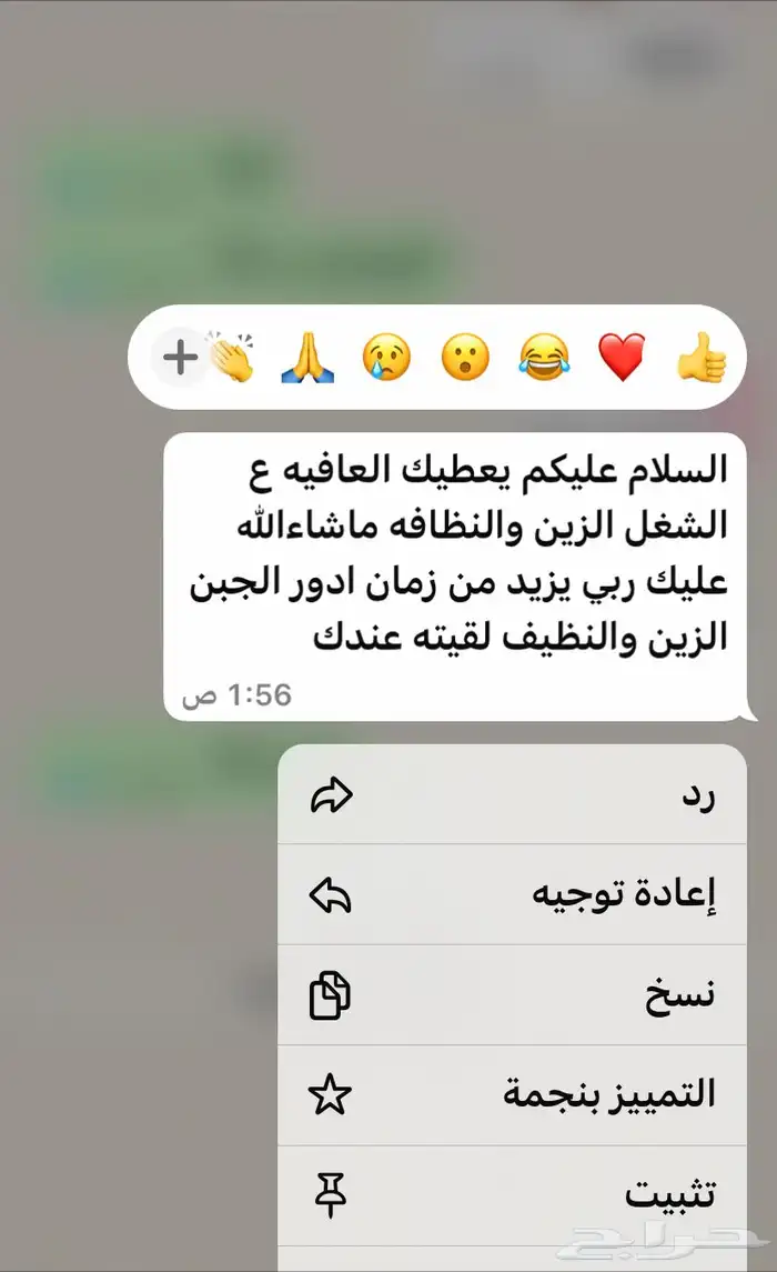 جبن معز شغل فرش ويومي 4