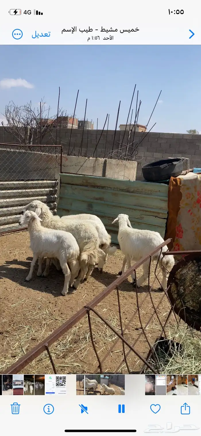 تم البيع 2