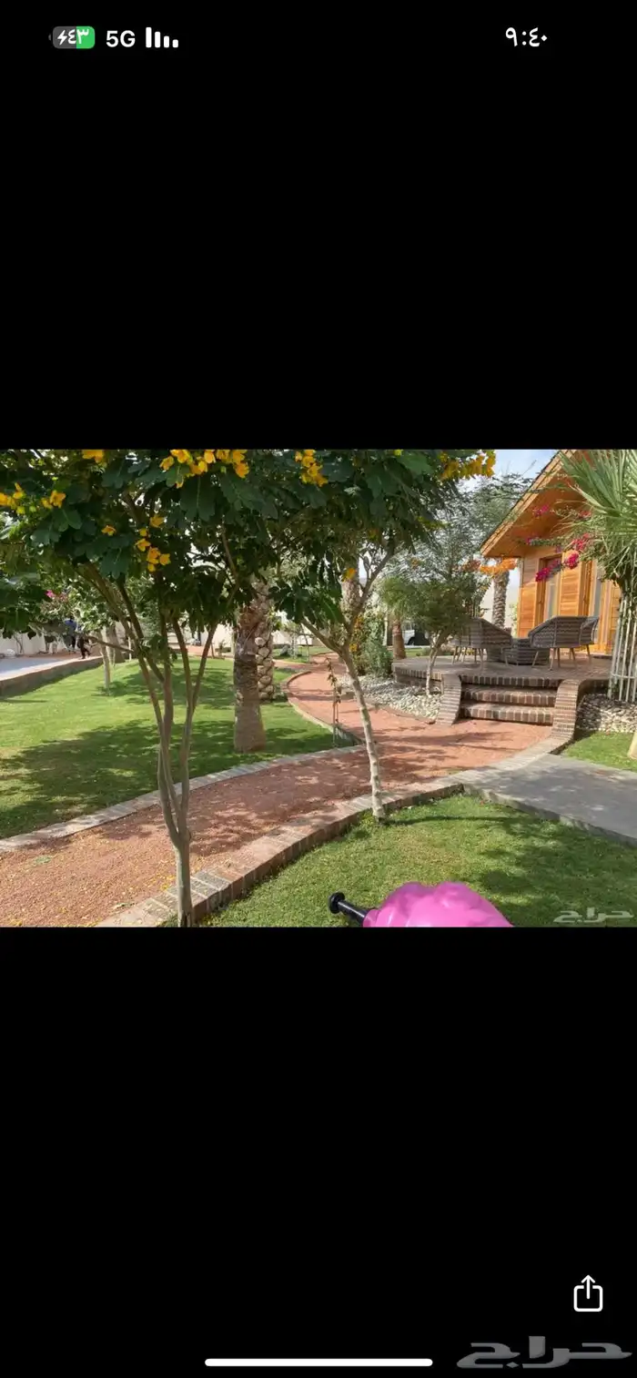 بطحاء حايل فرش زينة 17