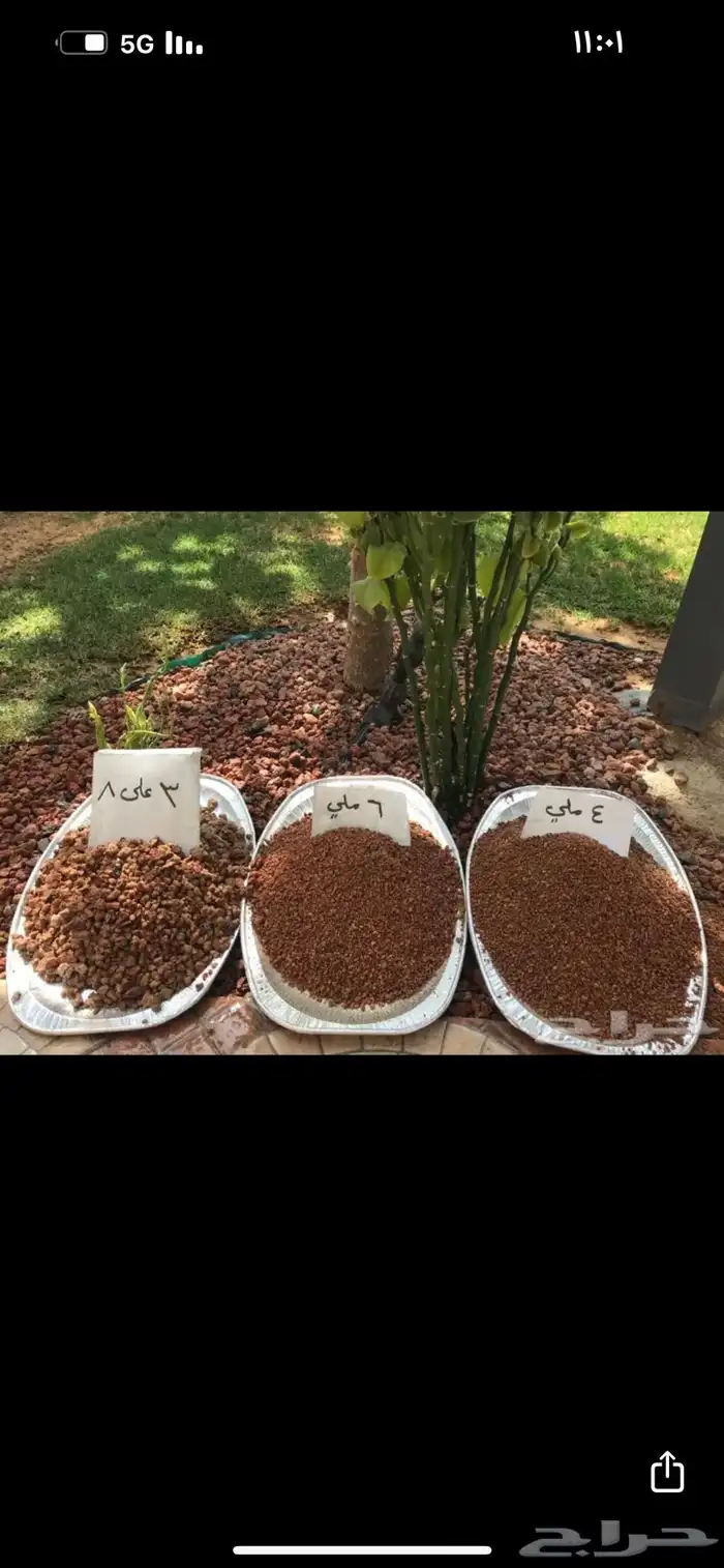 بطحاء حايل فرش زينة 33