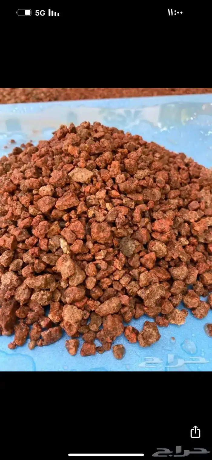 بطحاء حايل فرش زينة 36