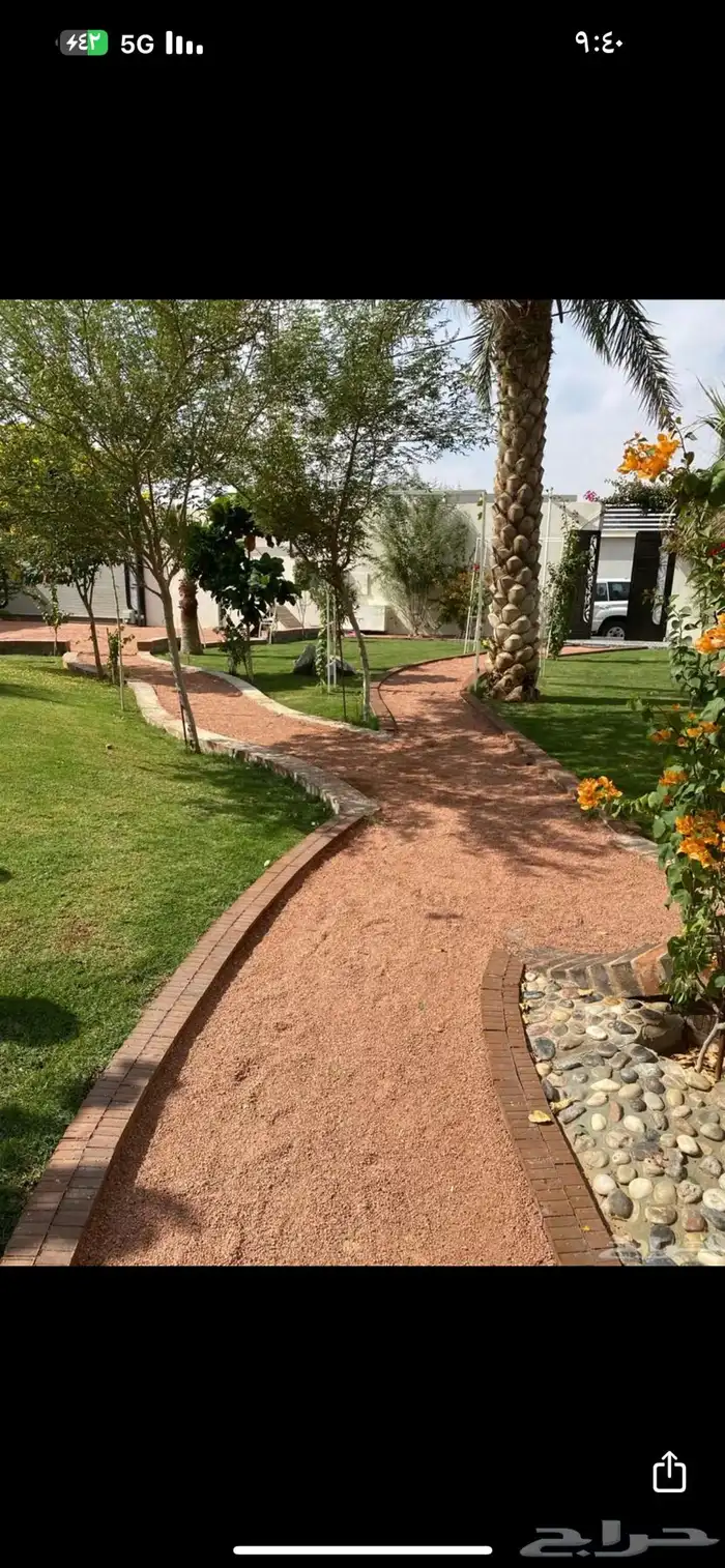 بطحاء حايل فرش زينة 20