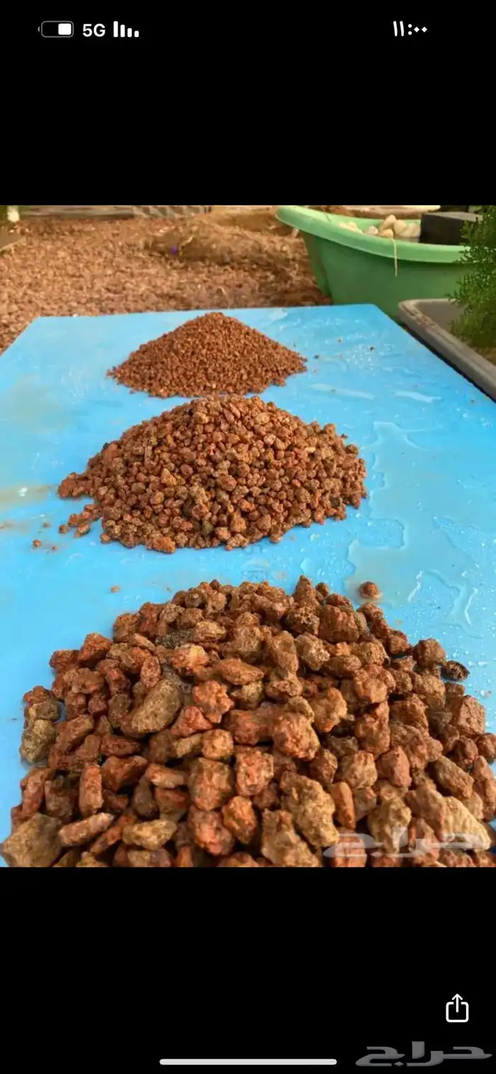 بطحاء حايل فرش زينة 41