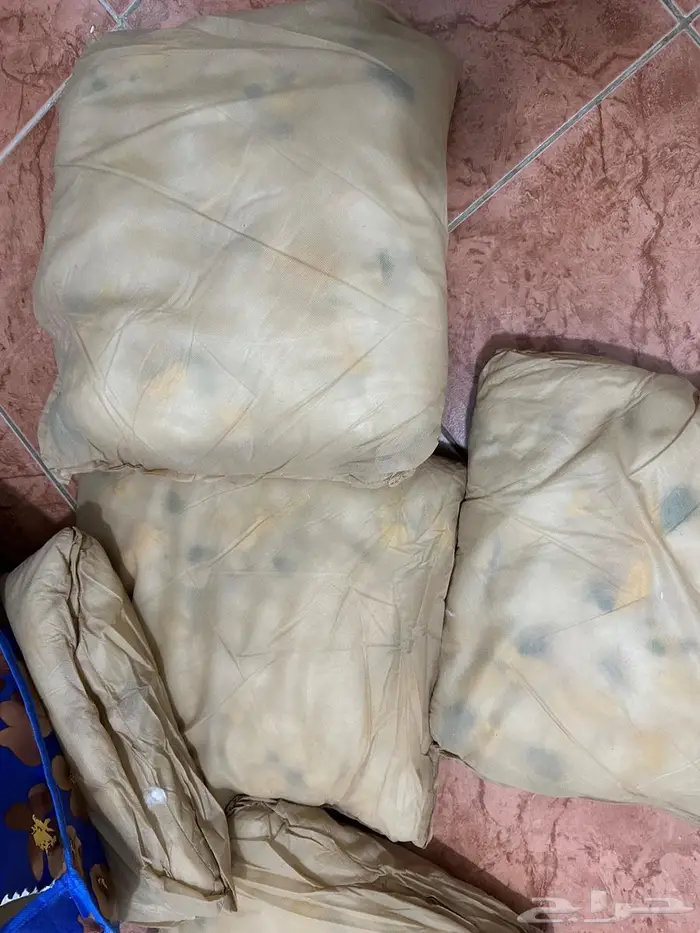حشوات قطن وإسفنج للخداديات 0