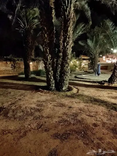 منتجع البدر للايجار اليومي 4