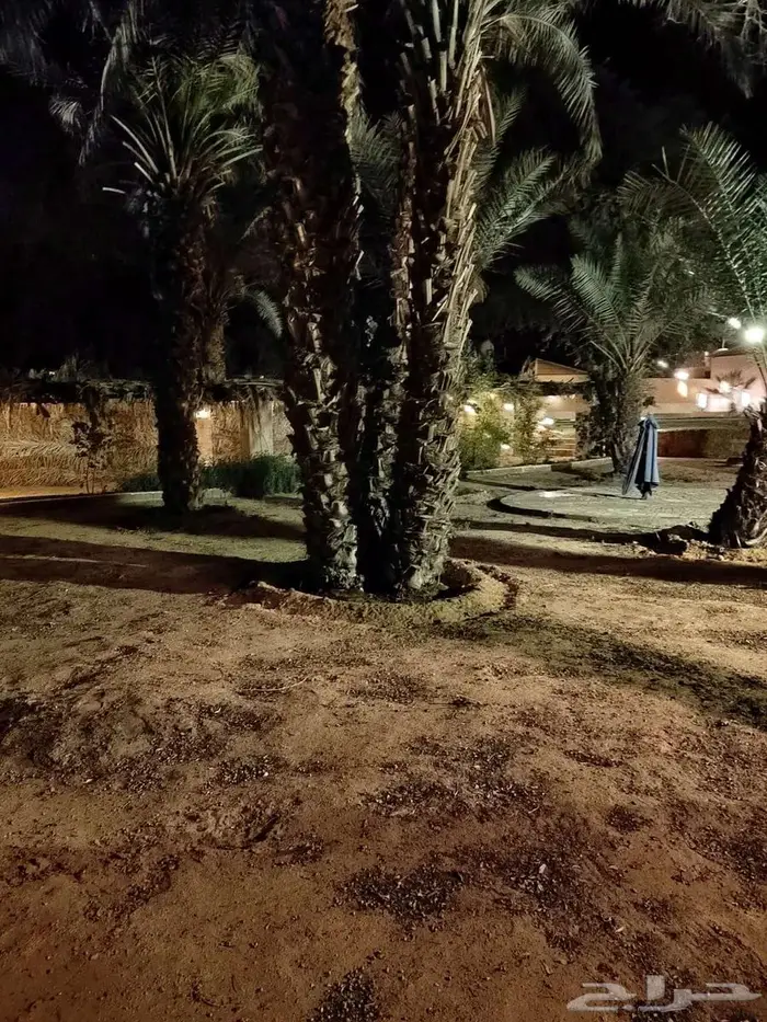 منتجع البدر للايجار اليومي 4