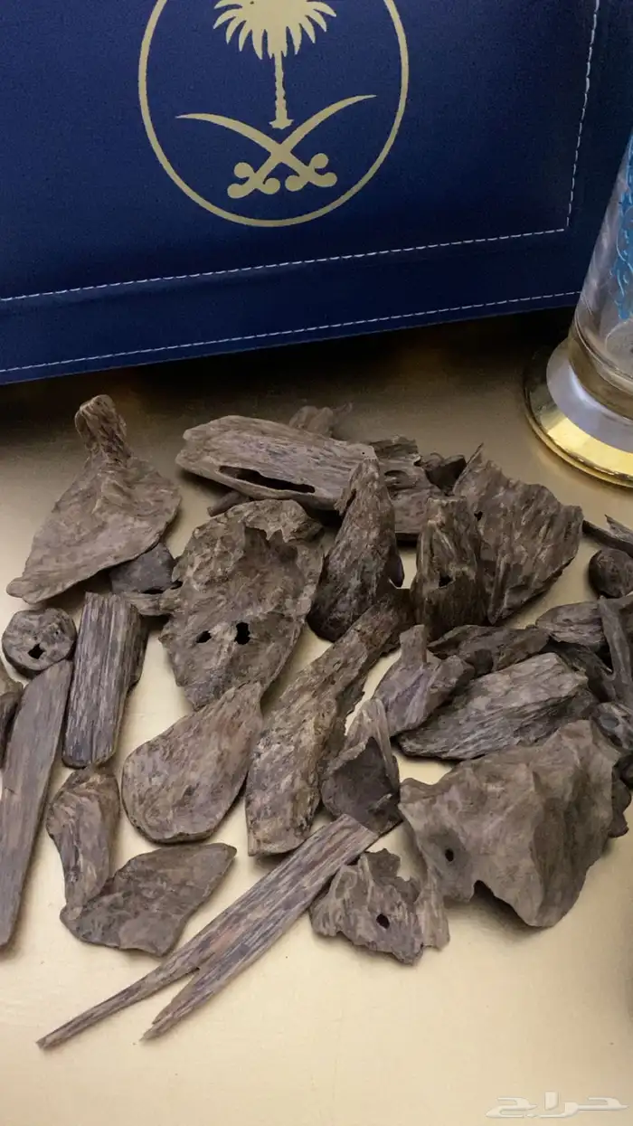 عود سيلاني. دبل مرتفع. كسر مباخر 1