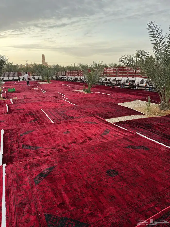 جلسات بأنواعها للايجار 34