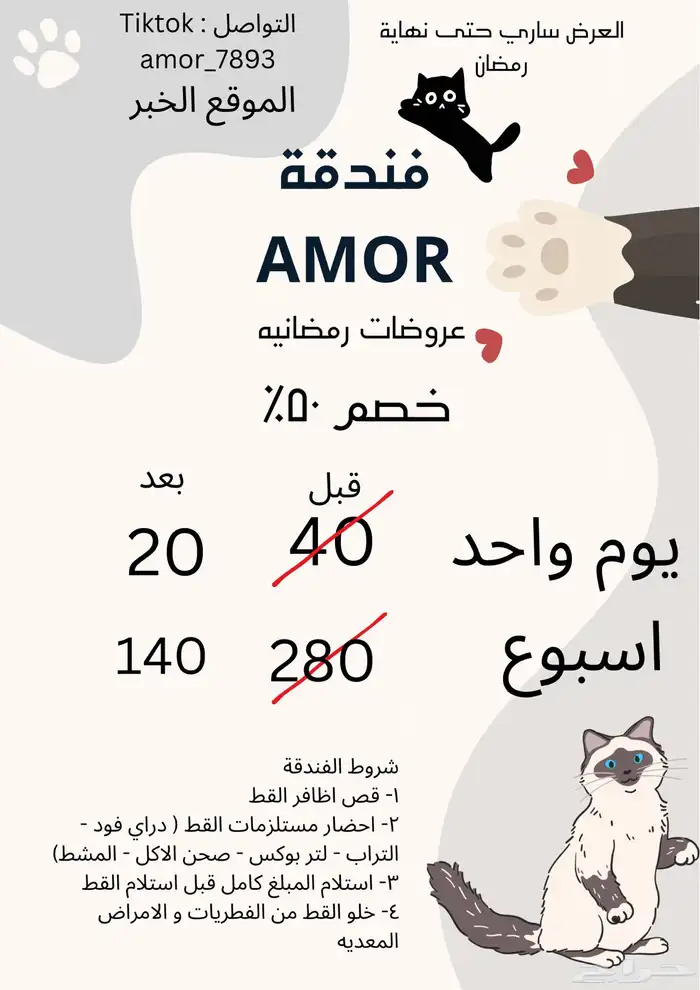 فندقة قطط 1