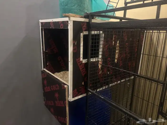 قفص   فقاسه كبير وبحاله ممتازة 4