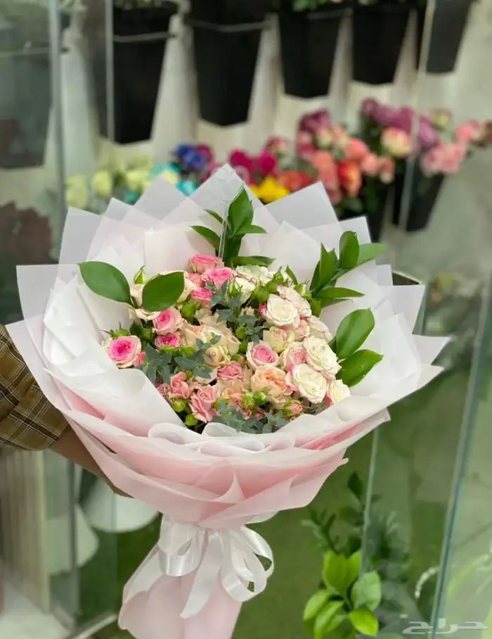 مندوب هدايا الاحساء 18