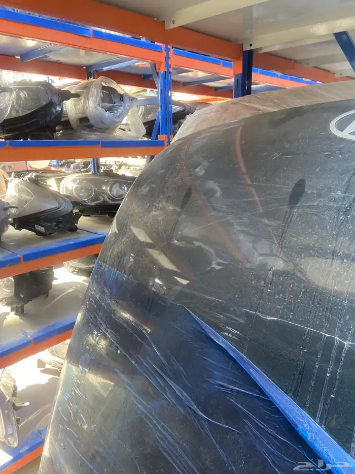 كبوت ازيرا 2024-2025 1