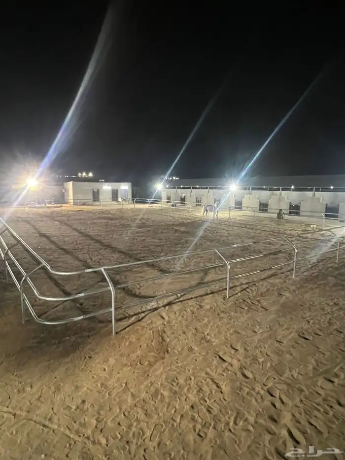 مربط خيل لخدمات الايواء 8