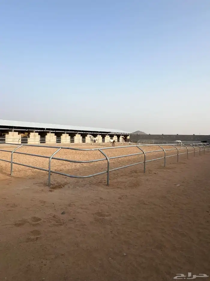 مربط خيل لخدمات الايواء 1