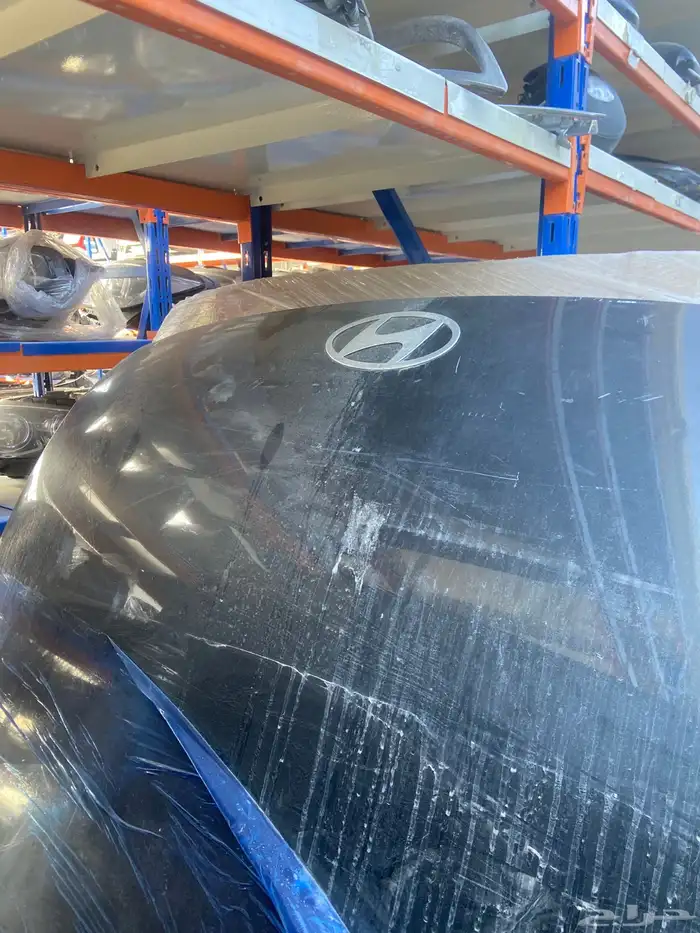 كبوت ازيرا 2024-2025 2