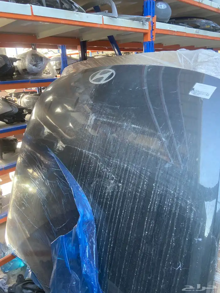 كبوت ازيرا 2024-2025 3