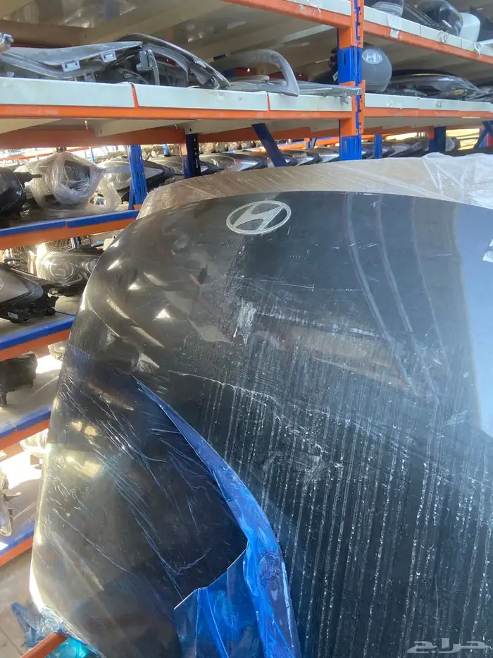 كبوت ازيرا 2024-2025 0