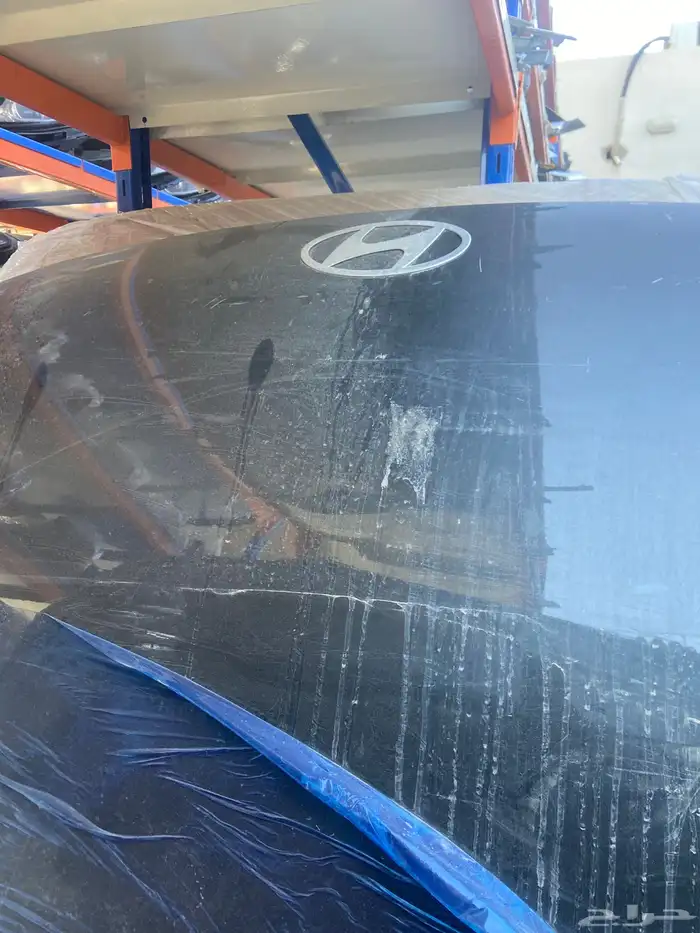 كبوت ازيرا 2024-2025 4