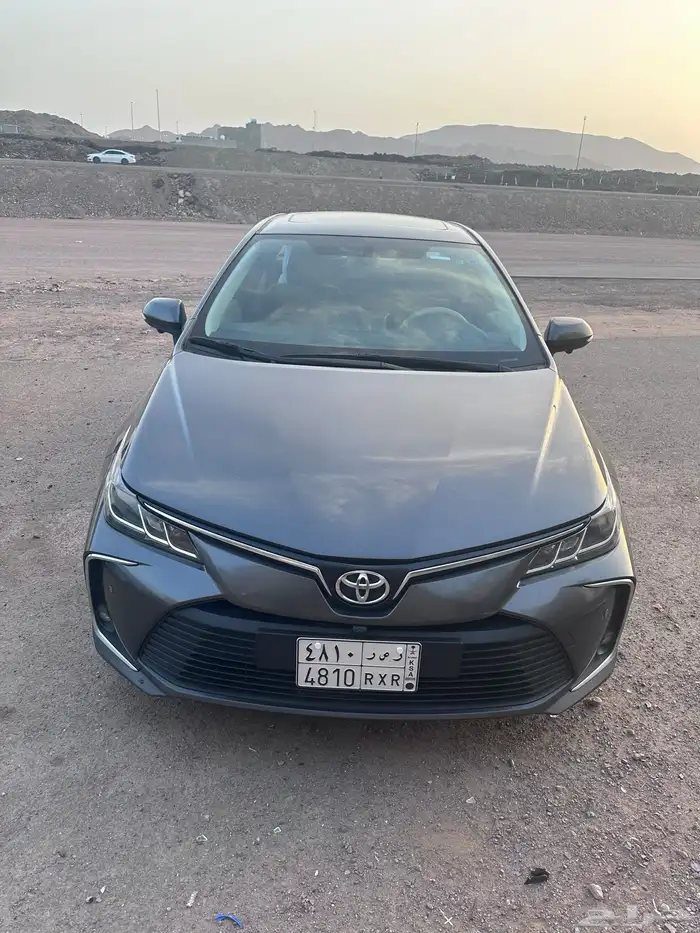 المدينه المنوره 0