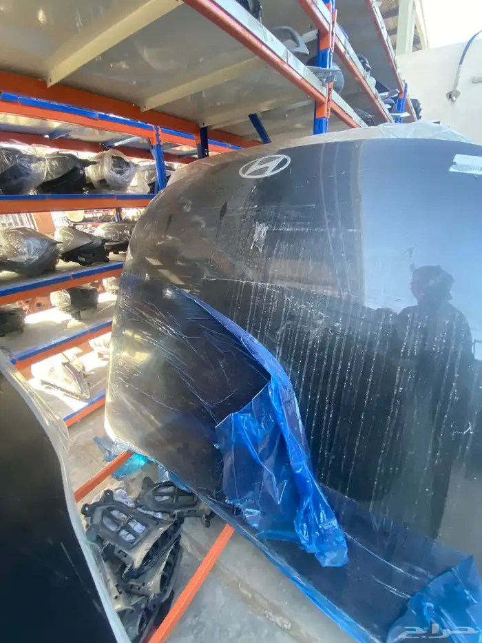 كبوت ازيرا 2024-2025 5