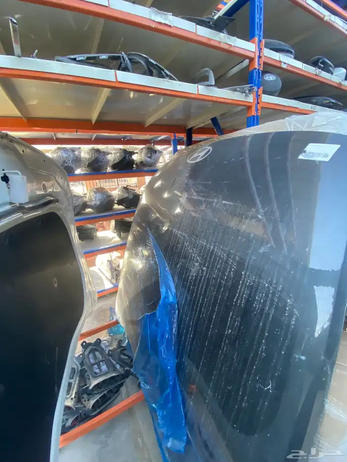 كبوت ازيرا 2024-2025 6