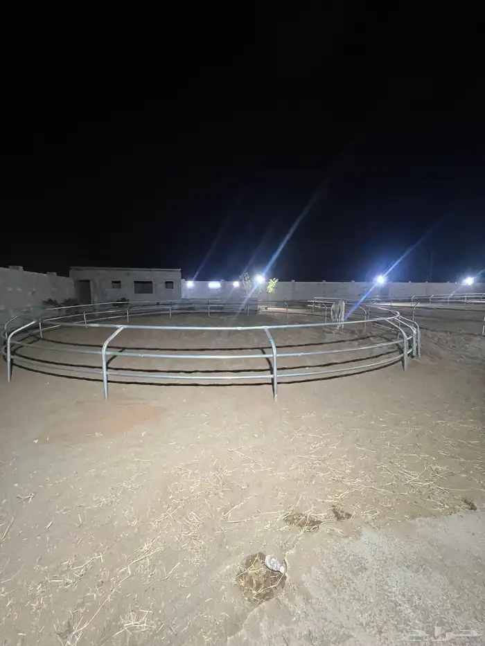 اسطبل الخيل العربيه الاصيله 7