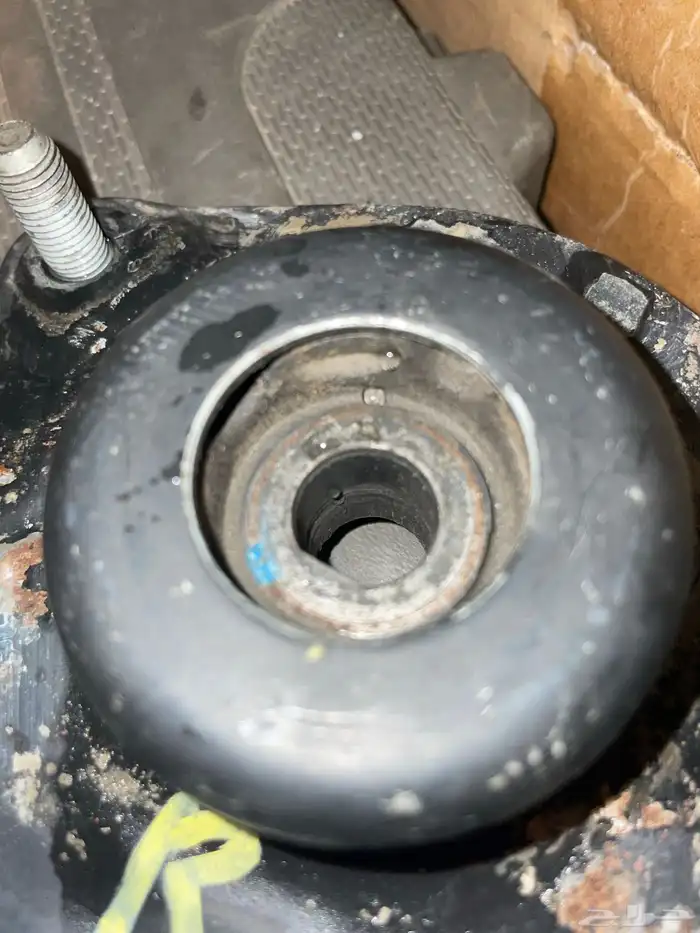 كراسي مساعدات جنسس كوبيه 1