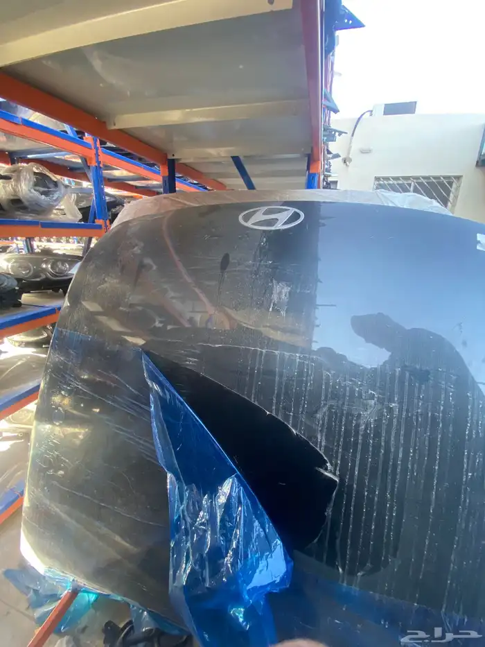 كبوت ازيرا 2024-2025 7