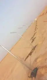 شبوك مزارع المزاحميه وما جورها 0