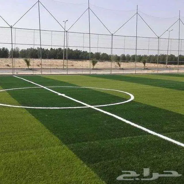 ثيل طبيعي ياباني انتورو فرنسي c2000 أمريكي تجهيزوإنشاء ملاعب 18