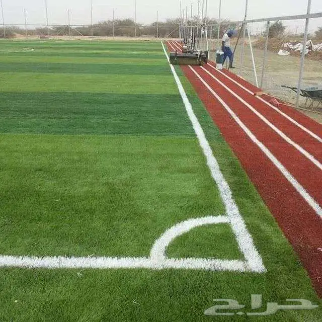 ثيل طبيعي ياباني انتورو فرنسي c2000 أمريكي تجهيزوإنشاء ملاعب 13